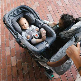 UPPAbaby Minu Duo Adapters for All Aria and Mesa Models