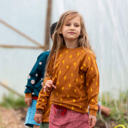 Little Green Radicals - Raglan Sweatshirt - Lightning