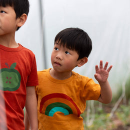 Little Green Radicals - Short Sleeve Popper T Shirt - Golden Rainbow