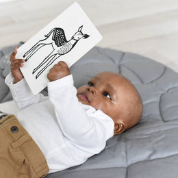 Wee Gallery - Art Cards for Baby - Baby Animals - Infant Flash Cards