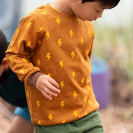 Little Green Radicals - Raglan Sweatshirt - Lightning