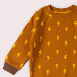 Little Green Radicals - Raglan Sweatshirt - Lightning