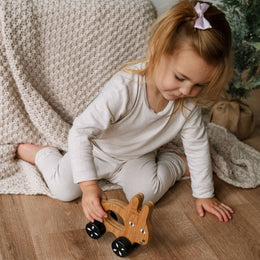 Wee Gallery - Bunny Push Toy - Wooden Roll Along Toy for Baby & Toddler