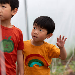 Little Green Radicals - Short Sleeve Popper T Shirt - Golden Rainbow