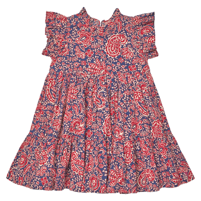 Pink Chicken - Jennifer Dress - Paisley Vines