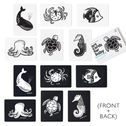 Wee Gallery - Art Cards for Baby - Ocean Animals - Infant Flash Cards