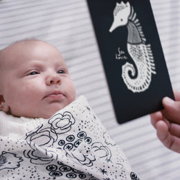Wee Gallery - Art Cards for Baby - Ocean Animals - Infant Flash Cards